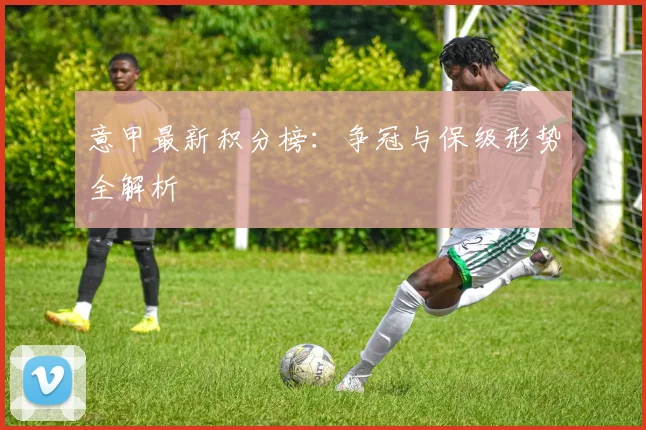 意甲最新积分榜：争冠与保级形势全解析
