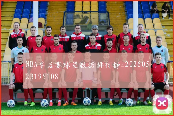 NBA季后赛球星数据排行榜_20260523195108